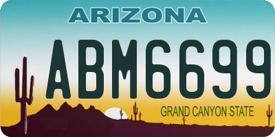 AZ license plate ABM6699