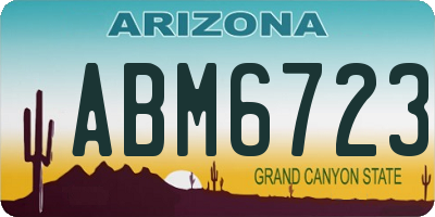 AZ license plate ABM6723