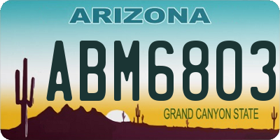 AZ license plate ABM6803