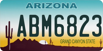 AZ license plate ABM6823