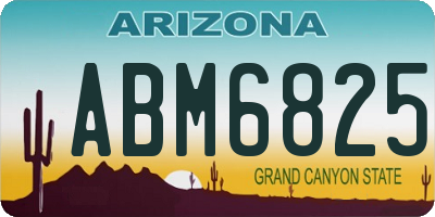 AZ license plate ABM6825