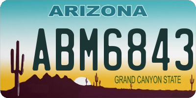 AZ license plate ABM6843