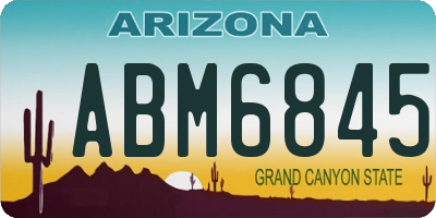 AZ license plate ABM6845