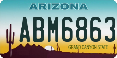 AZ license plate ABM6863