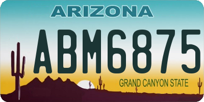 AZ license plate ABM6875