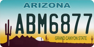 AZ license plate ABM6877