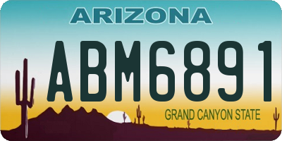 AZ license plate ABM6891