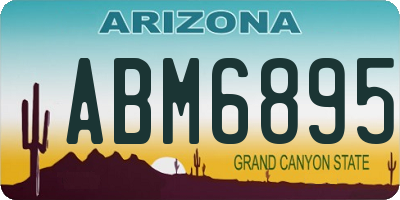 AZ license plate ABM6895