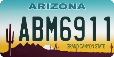AZ license plate ABM6911