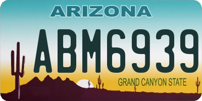 AZ license plate ABM6939