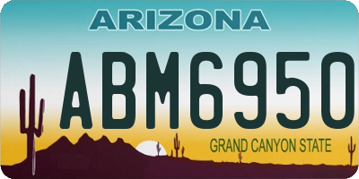 AZ license plate ABM6950