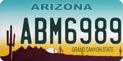 AZ license plate ABM6989