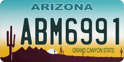 AZ license plate ABM6991
