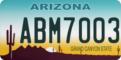 AZ license plate ABM7003