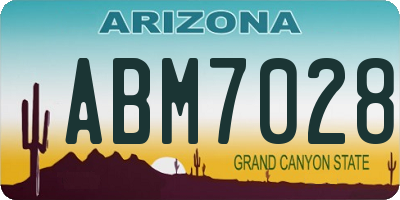 AZ license plate ABM7028