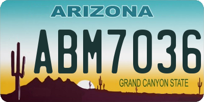AZ license plate ABM7036