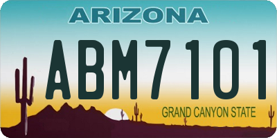 AZ license plate ABM7101