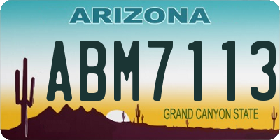 AZ license plate ABM7113