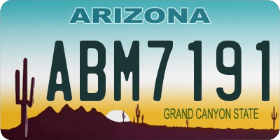AZ license plate ABM7191