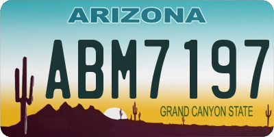 AZ license plate ABM7197