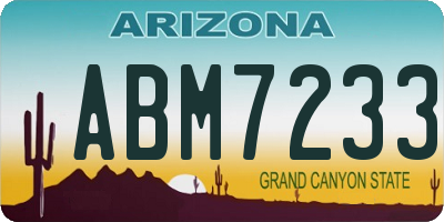 AZ license plate ABM7233