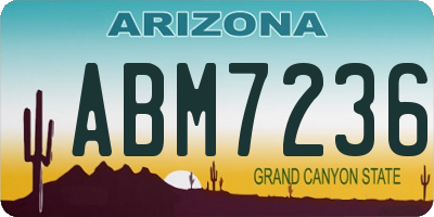 AZ license plate ABM7236
