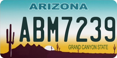 AZ license plate ABM7239