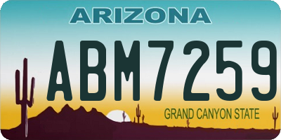 AZ license plate ABM7259