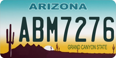 AZ license plate ABM7276