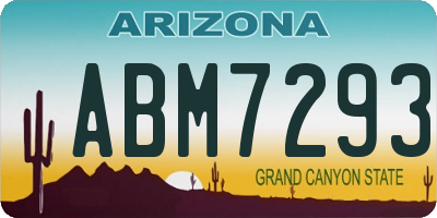 AZ license plate ABM7293