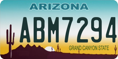 AZ license plate ABM7294