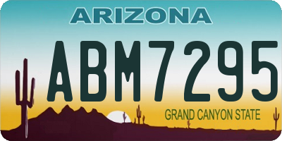 AZ license plate ABM7295