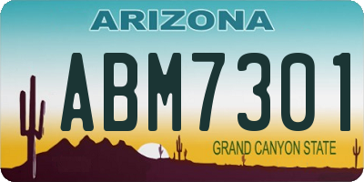AZ license plate ABM7301
