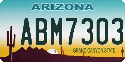 AZ license plate ABM7303