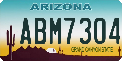 AZ license plate ABM7304