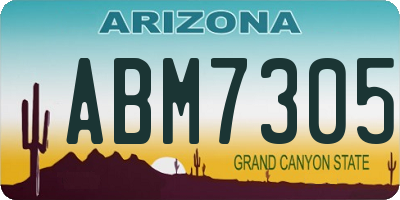 AZ license plate ABM7305