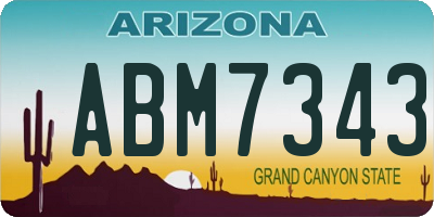 AZ license plate ABM7343