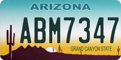AZ license plate ABM7347