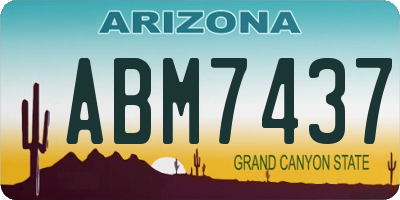 AZ license plate ABM7437