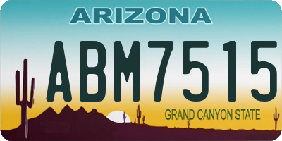 AZ license plate ABM7515