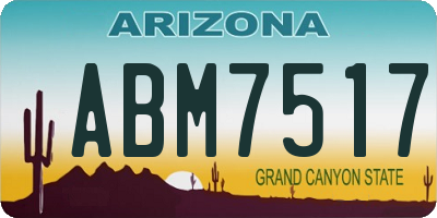 AZ license plate ABM7517