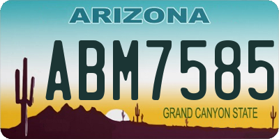 AZ license plate ABM7585