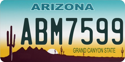 AZ license plate ABM7599