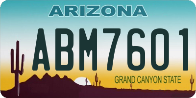 AZ license plate ABM7601