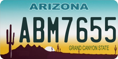 AZ license plate ABM7655