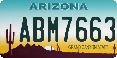 AZ license plate ABM7663