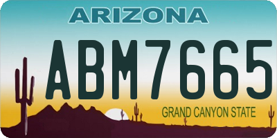 AZ license plate ABM7665