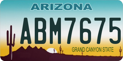AZ license plate ABM7675