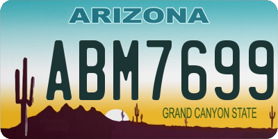 AZ license plate ABM7699