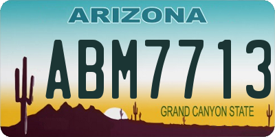 AZ license plate ABM7713